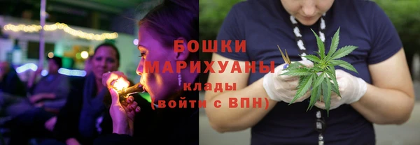 мет Ладушкин