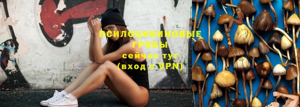 каннабис Лабытнанги