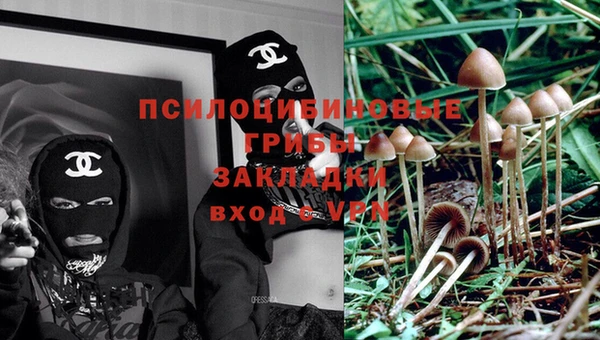 каннабис Лабытнанги